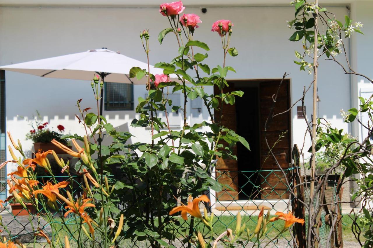 Bed and Breakfast Il Casolare Del Medio Olona Fagnano Olona Exterior foto